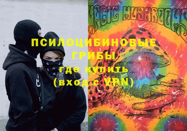 mdpv Лабытнанги